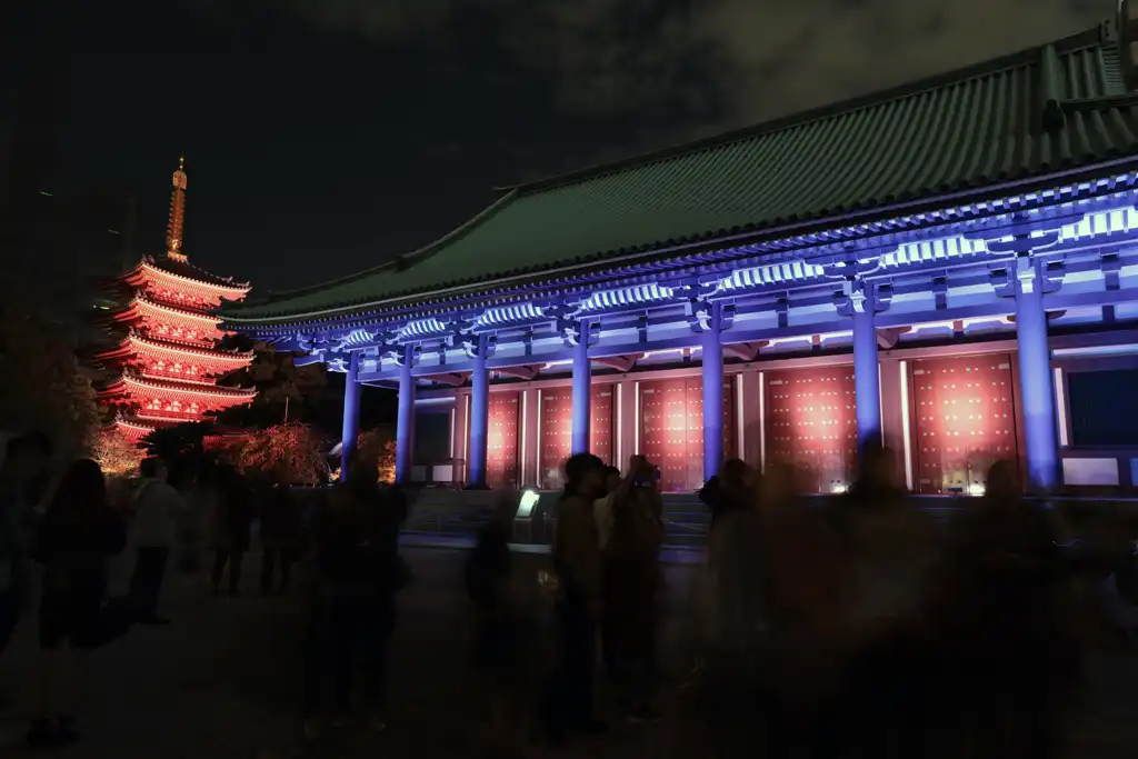 幻想的な灯りに浮ぶ東長寺画像