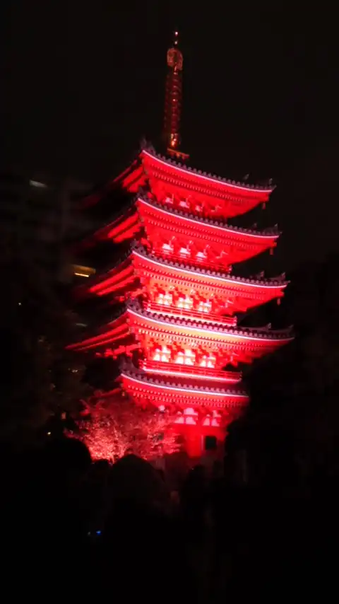 秋の夜に輝く五重塔画像