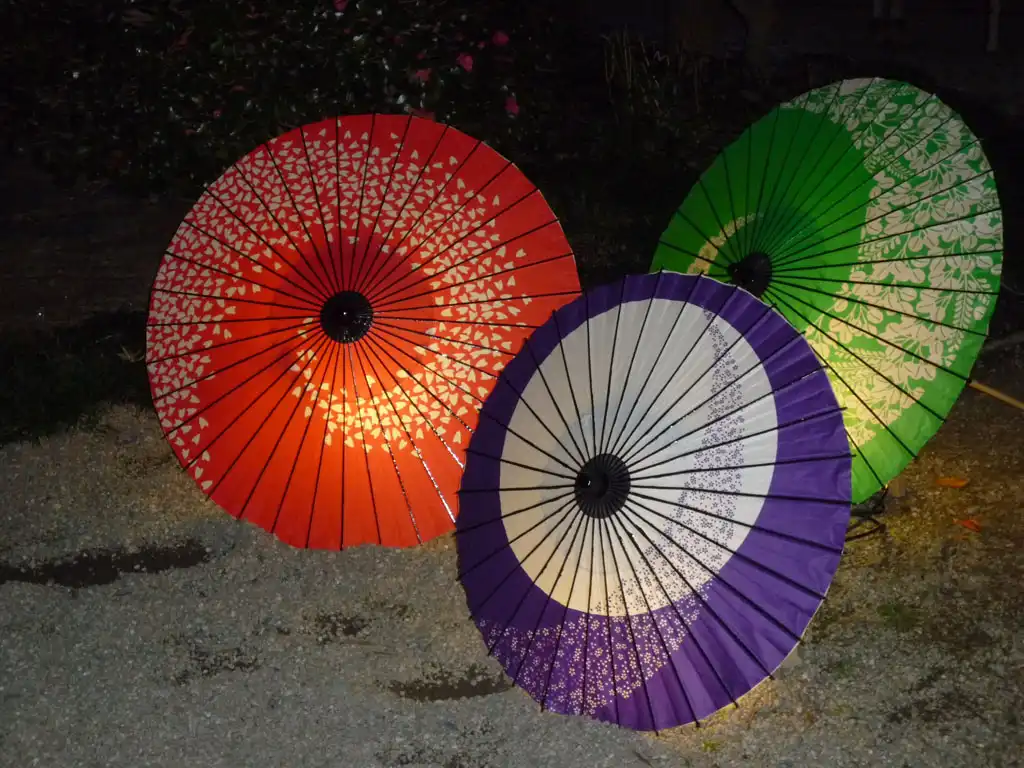 夜に咲く傘の華画像