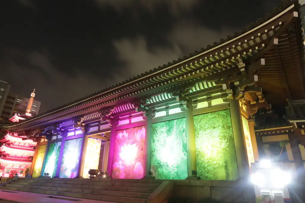 未来への光画像