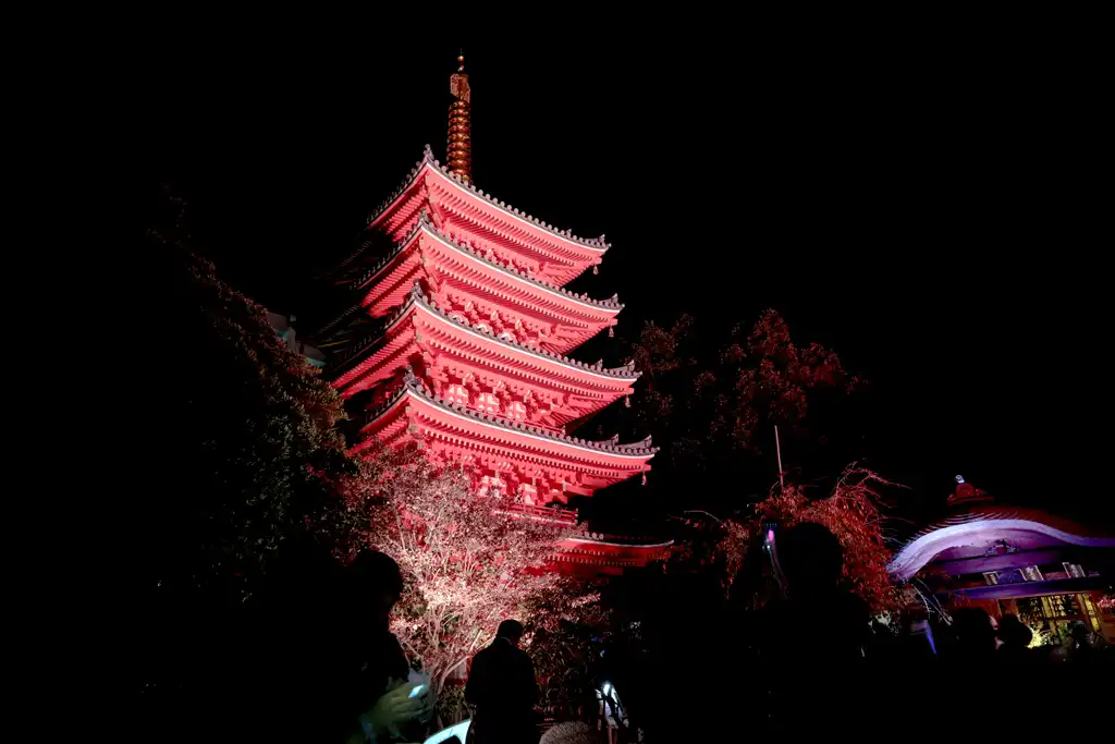 朱の灯りに浮ぶ東長寺五重塔画像
