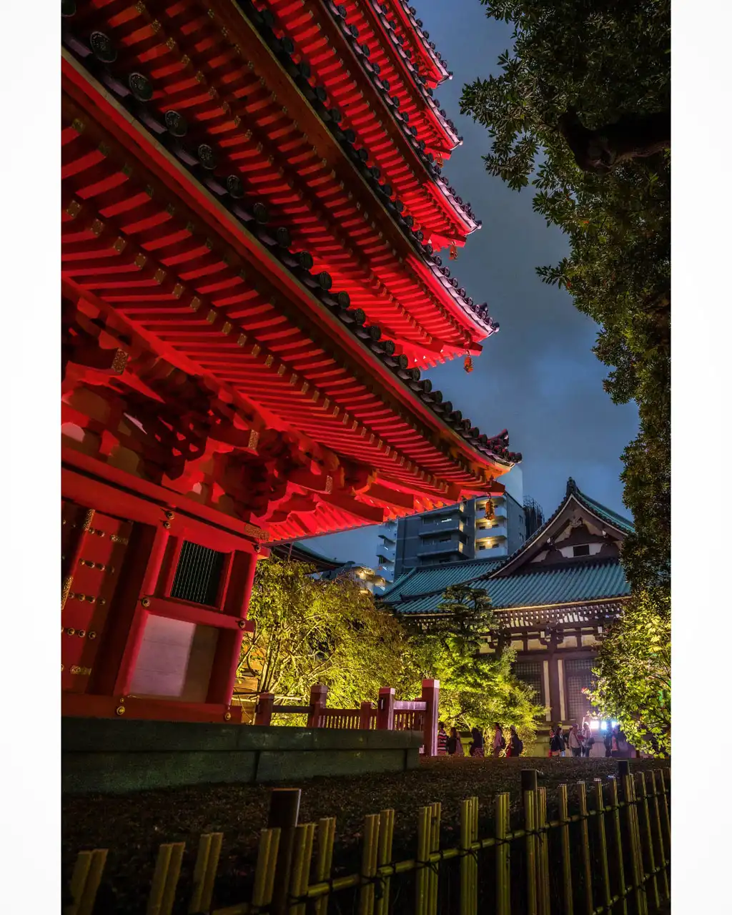 真紅の五枚笠画像