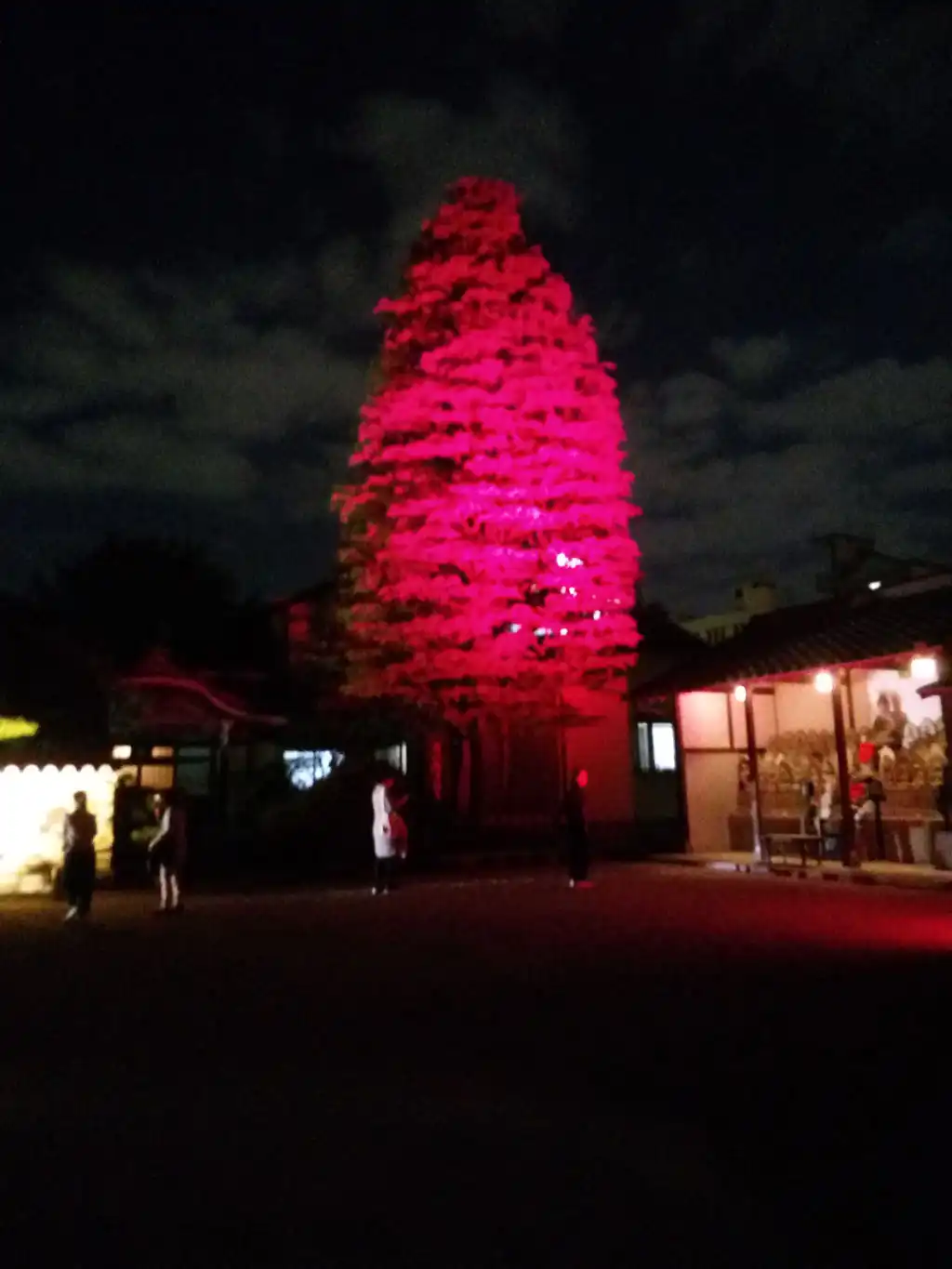 赤い煌めき画像