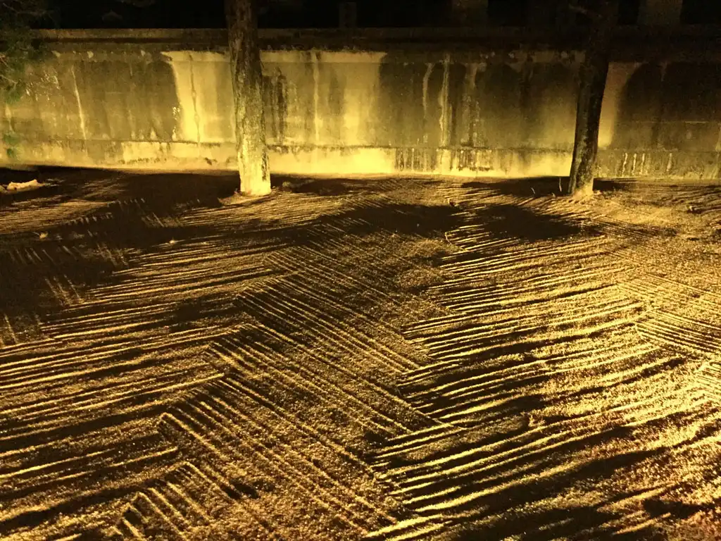 黄金の砂漠画像